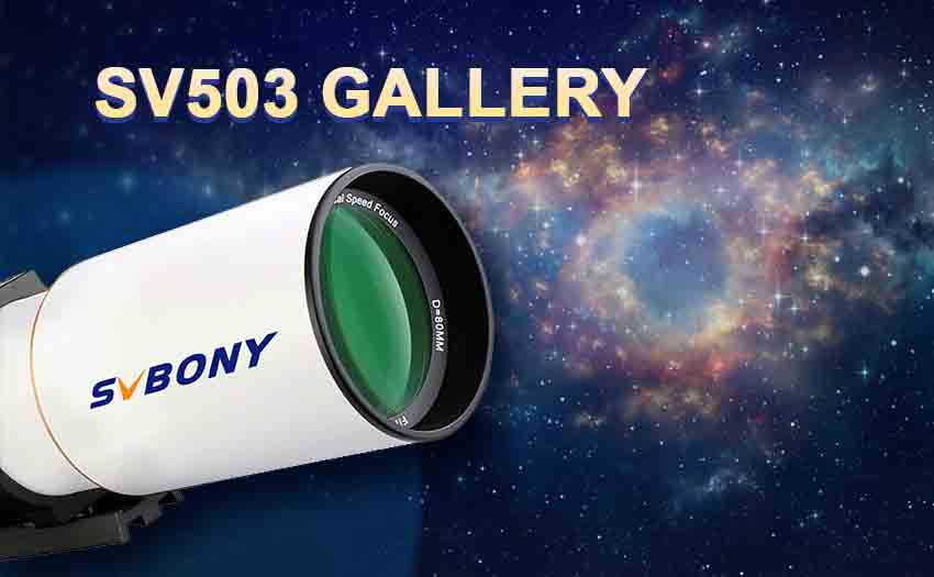 SV503 Gallery Part 5