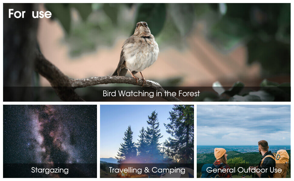 SVBONY SV202 ED Binocular Waterproof Bak4 Prism for Birding