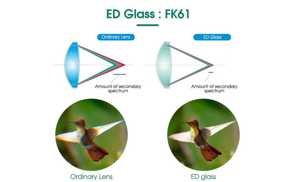 SV46P ED Glass: FK61