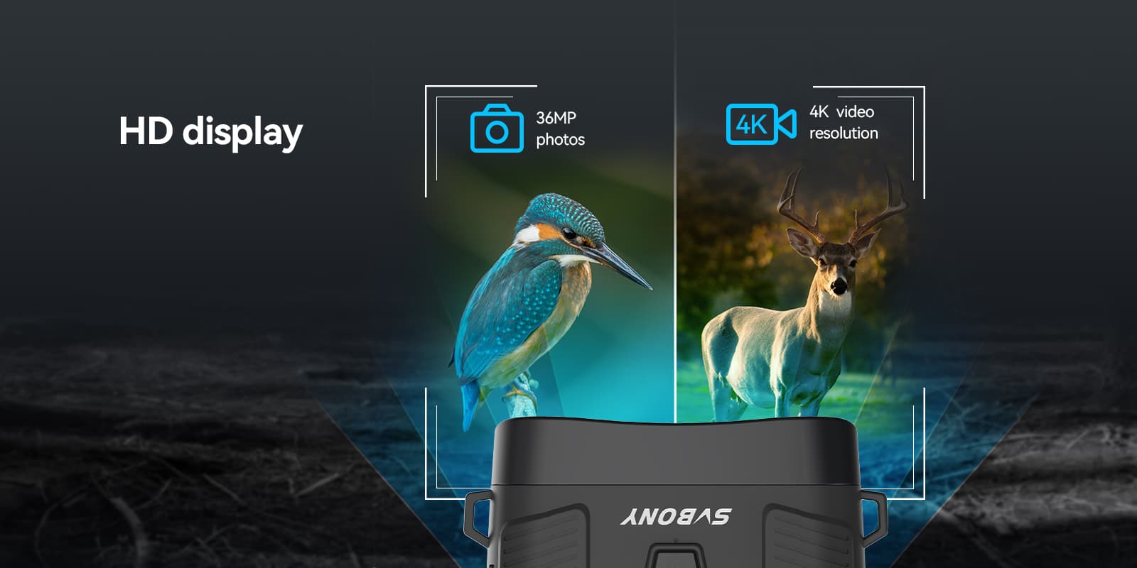 英 (4).jpg 英 (4).jpg