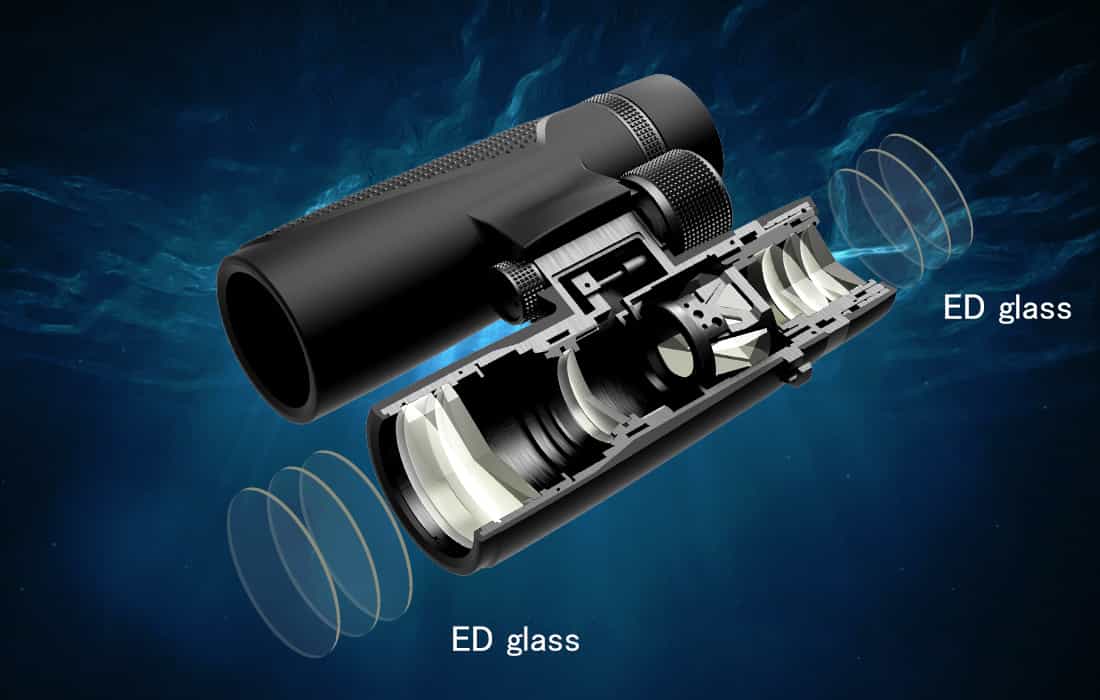 SV202 Binoculars 10x42ED Extra-Low Dispersion Bak4 Waterproof Fogproof for Bird Watching.jpg