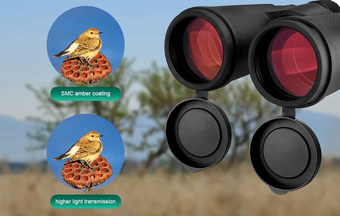 SV202 Binoculars 10x42ED Extra-Low Dispersion Bak4 Waterproof Fogproof for Bird Watching.jpg