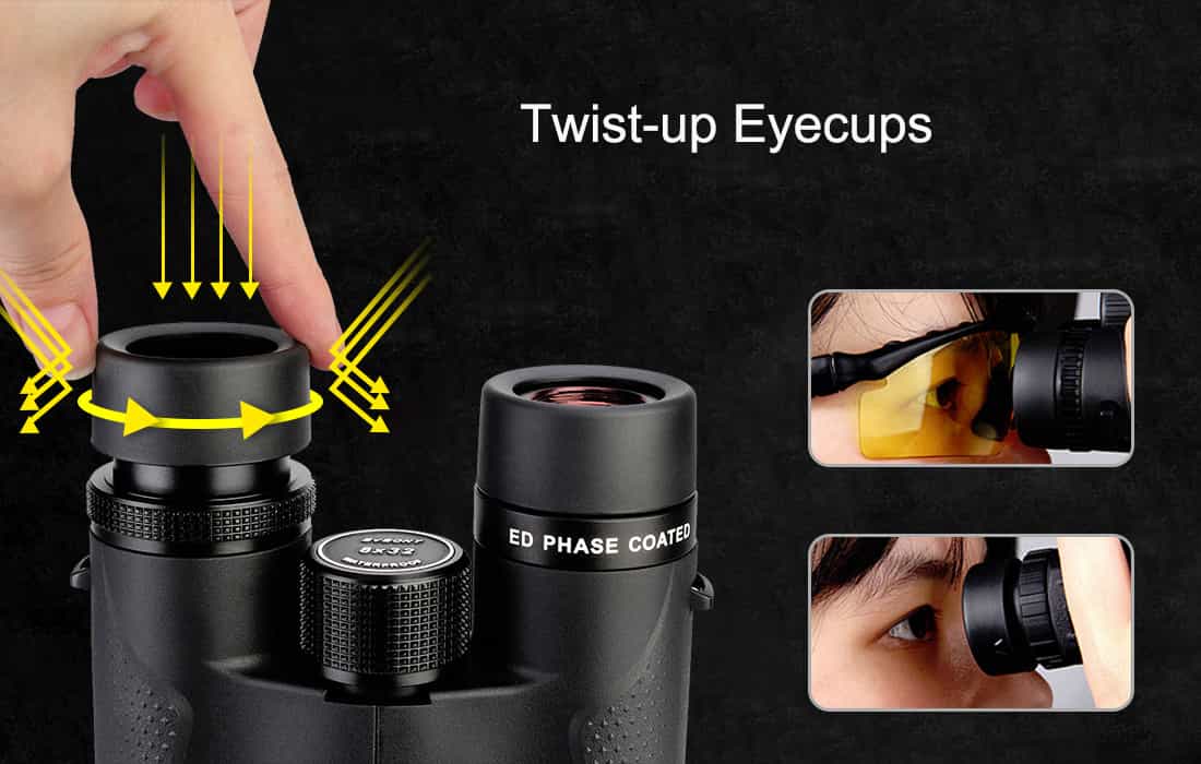 SV202 Binoculars 10x42ED Extra-Low Dispersion Bak4 Waterproof Fogproof for Bird Watching.jpg