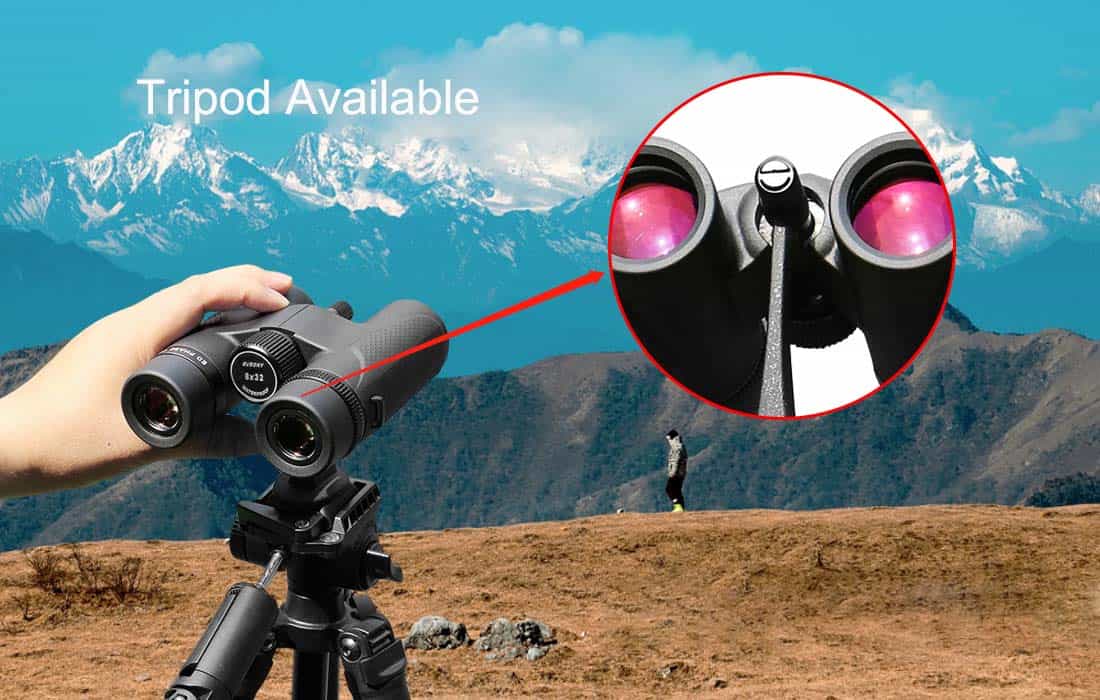SV202 Binoculars 10x42ED Extra-Low Dispersion Bak4 Waterproof Fogproof for Bird Watching.jpg