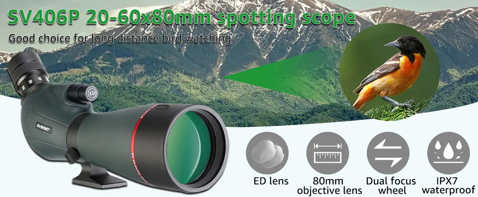 SV406P 20-60x80mm Spotting Scope