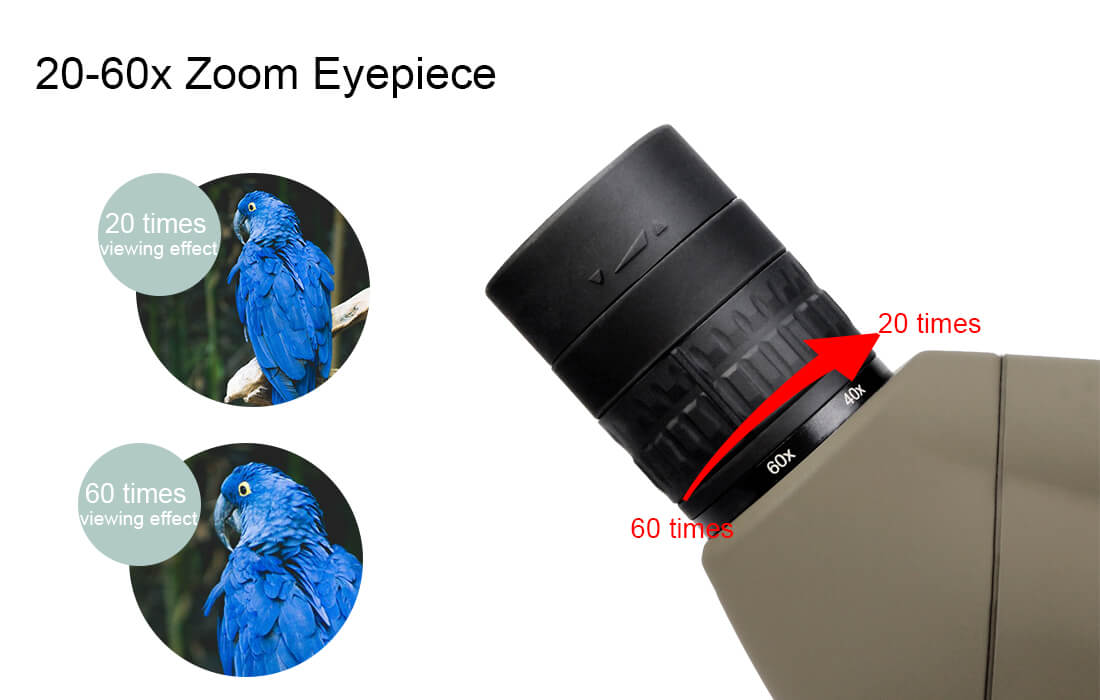 6370260813803392658424183.jpg 6370260813803392658424183.jpg