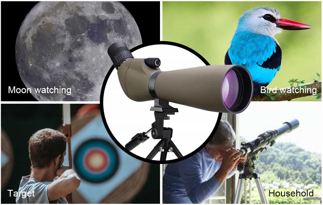 6370260813831847986559596_compressed.jpg 6370260813831847986559596_compressed.jpg