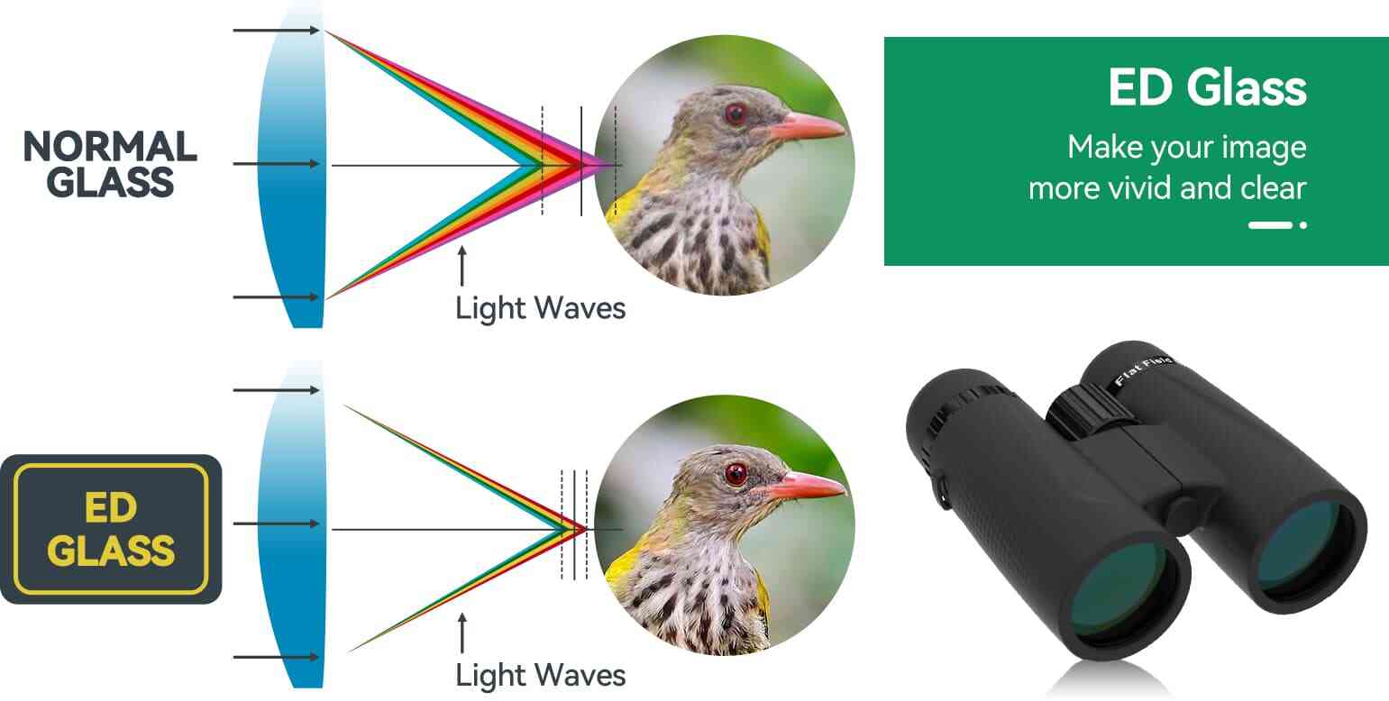 SA205 8x42 ED Flat-field Binoculars With BaK-4 Prism IP67 Waterproof.jpg