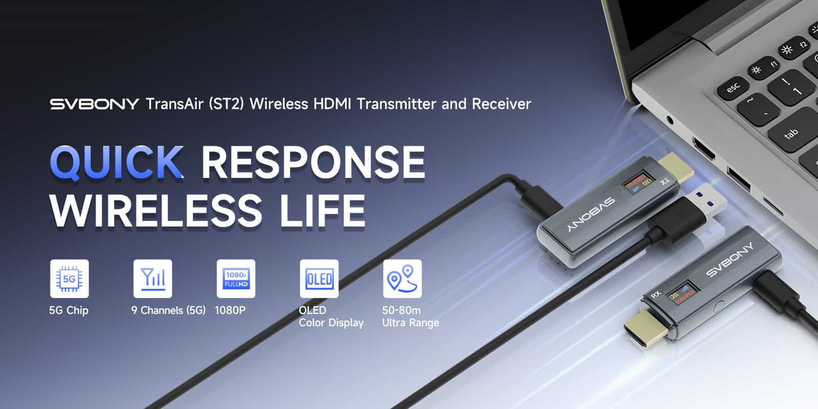 11 (1).jpg 11 (1).jpg