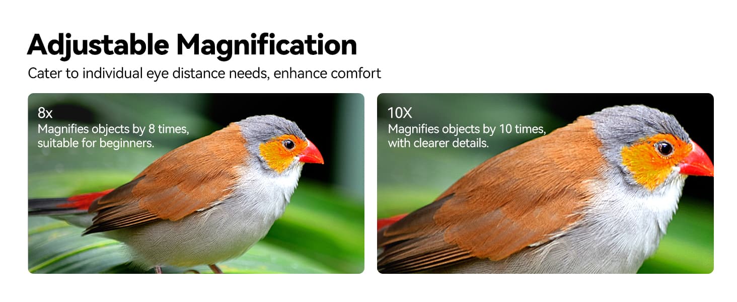 svbony-sv202-upgraded-ed-binocular-bak4-prism-ipx7-waterproof-birding.jpg svbony-sv202-upgraded-ed-binocular-bak4-prism-ipx7-waterproof-birding.jpg