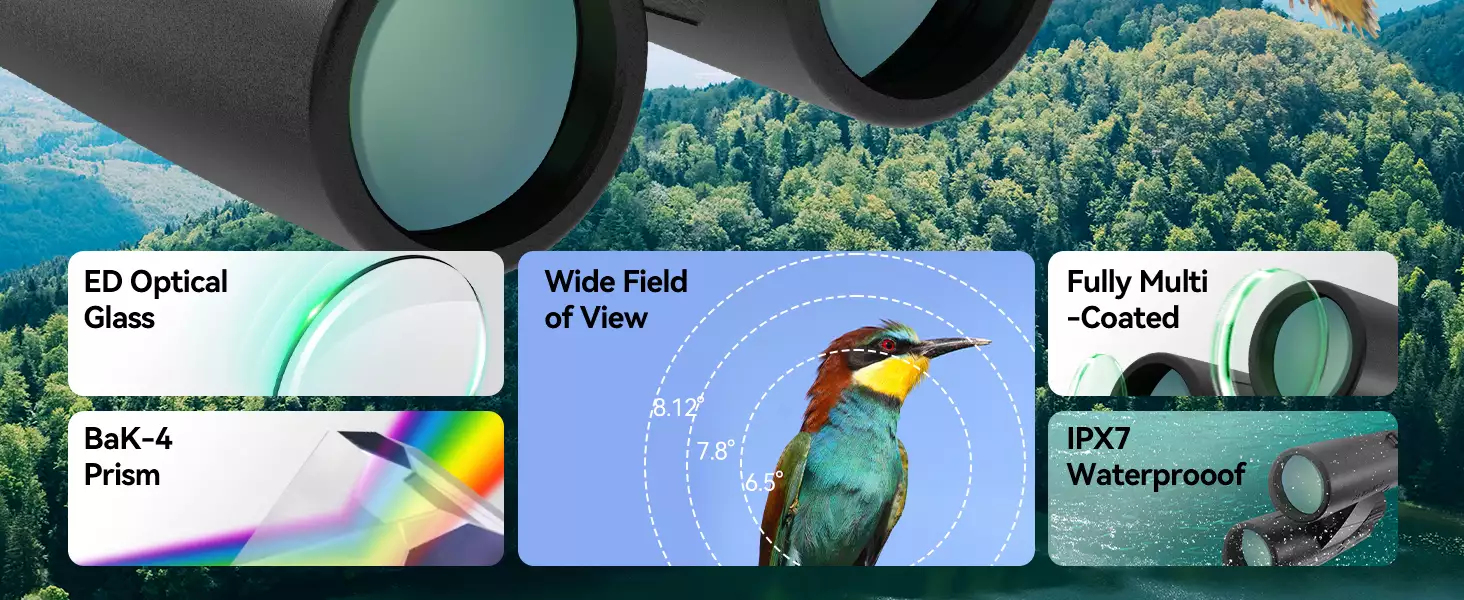 svbony-sv202-upgrade-binocular-for-birding svbony-sv202-upgrade-binocular-for-birding