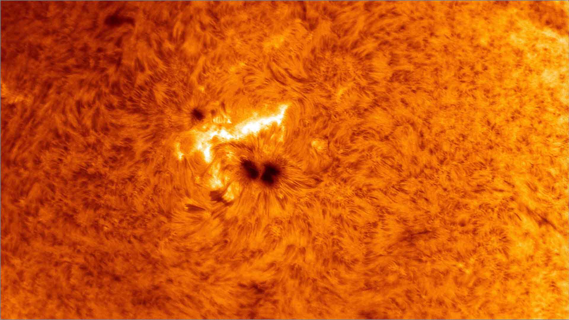 sv605mc cooled camera